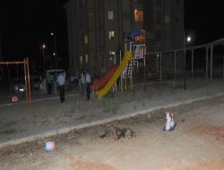 Çocuk Parkına Giren Domuzları Site Sakini Vurdu