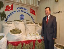 Diyarbakır'da 20 Günde Yarım Ton Esrar Ele Geçirildi
