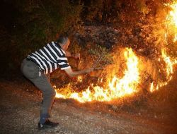 Antalya'daki Orman Yangınının Tehlikeli İlerleyişi Durdu