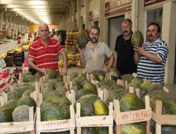 Sebze Ve Meyve Fiyatları Ürün Azlığından Dolayı Artmış!!