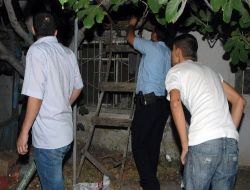 Polis Ve Mahalleli, Ağaçların Tepesinde Hırsız Aradı