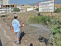 İskenderun Belediyesi Karasinekle Mücadele Çalışmalarını Yoğunlaştırdı