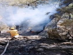 Antandros Antik Şehri'nde İki Hektarlık Zeytinlik Alan Yandı