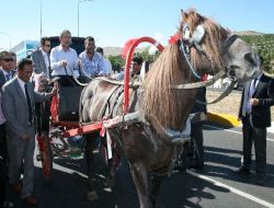 TP Genel Başkanı Şener: "Aym ve Hsyk İktidar Partisini Güdümüne Girmeyecek"