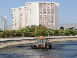 İzmir'in Dereleri Kışa Hazırlanıyor!.