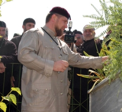 Çeçen Liderin Köyüne Saldırı:  19 Ölü