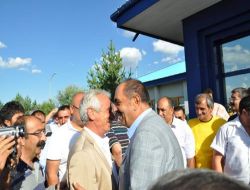 Gürbüz Çapan'dan Başbakan Erdoğan'a 'Sahte Kabadayı' Evetçi Solculara Da 'solucan' Benzetmesi