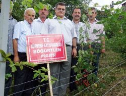 'butik Tarım Projesi' Meyvesini Veriyor