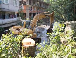Belediye Sel Baskınlarını Önlemek İçin Dere Kenarındaki Ağaçları Kesecek