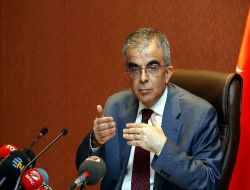 Hsyk Üyesi Ertosun: "Türkiye'de Maalesef Yerleşmiş 'Araya Girme Durumu' Var"