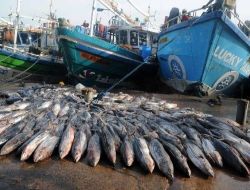 Sri Lanka'da Terör Bitince Fiyatlar Üçte Birine Geriledi