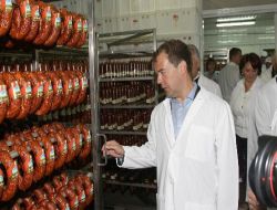 Medvedev Putin'e Özendi; Tarlada Karpuz Yiyerek Pr Yaptı!