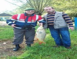 Akgöl'de Toplu Balık Ölümleri Yaşanıyor!.