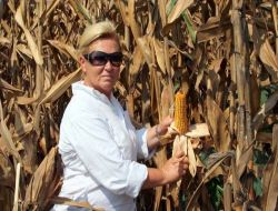 Adana Tahıl Üreticileri Birliği Başkanı Özkan: Elinizdeki Mısırı Tekelci Gruplara Ucuza Satmayın