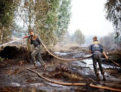 Rusya'da Yangınlar Yeniden Başladı: 5 Ölü, 14 Yaralı!