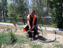 Yazar Kasa Eylemcisi Belediyede Çöpçü Oldu