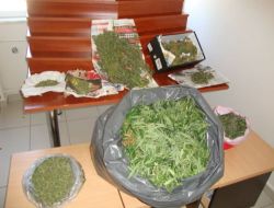 Kocaeli'de 7 Kilogram Esrar Maddesi Ele Geçirildi!