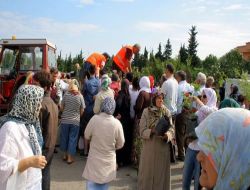 İlkadım Belediyesi, Mezarlıklara Dikilmesi İçin Bin Adet Fidan Dağıttı