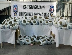 Osmaniye'de 176 Kilo Esrar Ele Geçirildi!