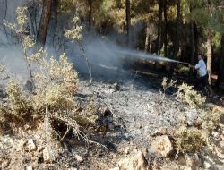 Kahramanmaraş'ta Orman Yangını