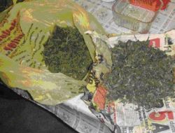 Nevşehir'de Esrar Operasyonu