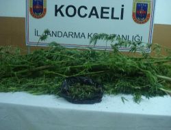 Kocaeli'de Uyuşturucu Operasyonu