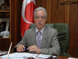 Adana Uluslararası 2. Taş Heykel Sempozyumu Başlıyor