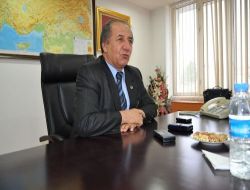 Kars'ta Sokak Köpekleri Sorunu Masaya Yatırıldı