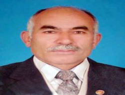 Ordu'da Karacaören Köyü Yapılan Hizmetlere Teşekkür İçin 'evet' Demiş