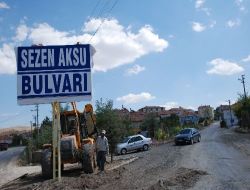 Sezen Aksu'nun Adı Afyonkarahisar'da Bulvara Verildi
