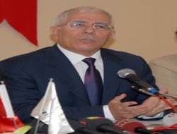 Devlet Bakanı Aydın: Başkasının Atıyla Yarışa Giremeyiz