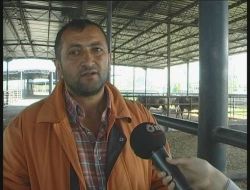 Şap Hastalığı Nedeniyle 4 Aydır Kapalı Olan Hayvan Pazarı Açıldı
