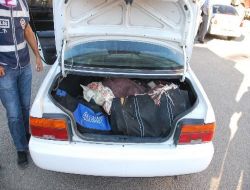 95 Kilo Esrar Batı İllerine Servis Edilmeden Yakalandı