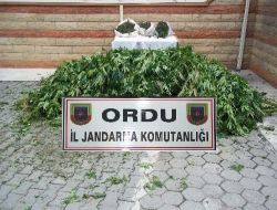 Ordu'da 10 Kilo Kubar Esrar Yakalandı!