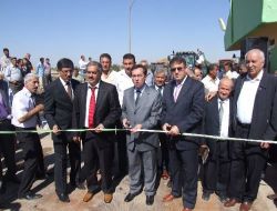 Şeker Fabrikası, 320 Bin Ton Pancar İşleyecek, Ekonomiye 80 Milyon Lira Kazandıracak