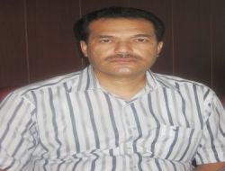 "Erken Hasat Zeytindeki Kaliteyi Düşürür"