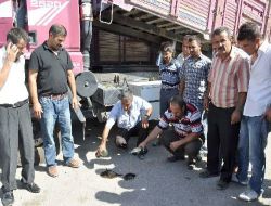 Suriye'de Gözaltına Alınan Türk Şoförlerinin 20'si Serbest, 10'u Halen Tutuklu