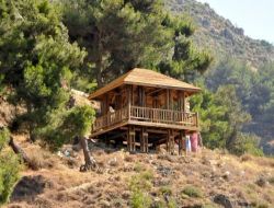Kent Ormanındaki Seyir Terasları Işıklandırıldı