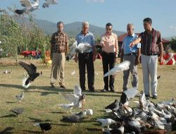 İskenderun Güvercini Bu Sefer Barış Festivalinde Hoşgörü İçin Kanat Çırpacak