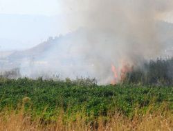 Anız Yangını Araştırma İçin Kurulan Tarlayı Tehlikeye Soktu