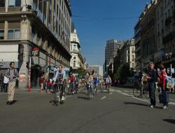 Belçika'da Birçok Şehirde Bugün Araba Kullanmak Yasak