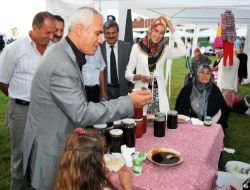 Nilüfer'de İncir Festivali