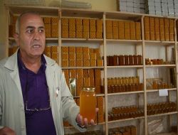 Ardahan'da Son 40 Yılın Bal Üretim Rekoru Kırıldı!