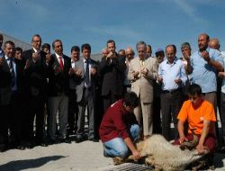 Konya'da 32 Bin Ton Patates İşleyecek Tesis, Üreticilere 11 Milyon Liralık Katkı Sağlayacak