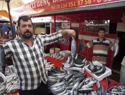 Kırmızı Et Alamayan Vatandaş Palamuta Yöneldi
