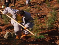 Kocaeli Belediyesi 400 Geçici İşçi Aldı