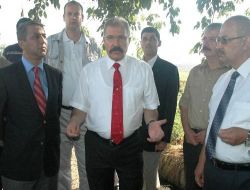 Direksiyon Başına Geçen Vali Cerrah Tarlada Yerfıstığı Hasadı Yaptı