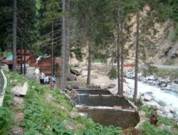 Rize'de 18 İlden Gelen 55 Teknisyen Organik Tesisleri Gezdi