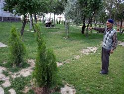 Kültür Park Halkın Gözdesi