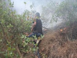 Dörtyol'da 10 Ayrı Noktada Yangın Çıktı!